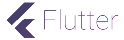 Flutter Developers